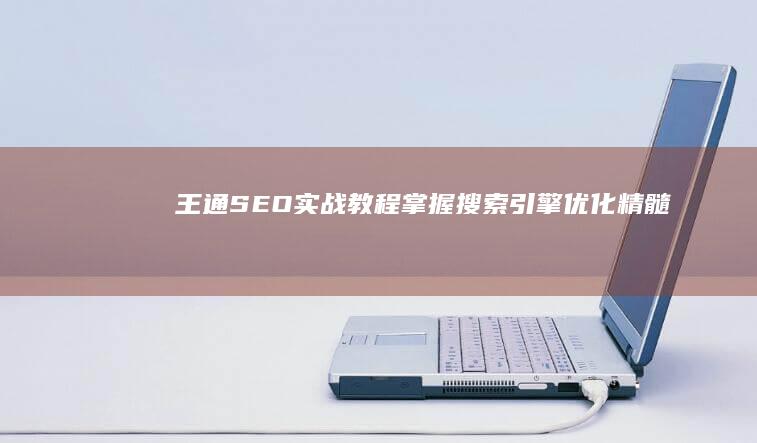 王通SEO实战教程：掌握搜索引擎优化精髓